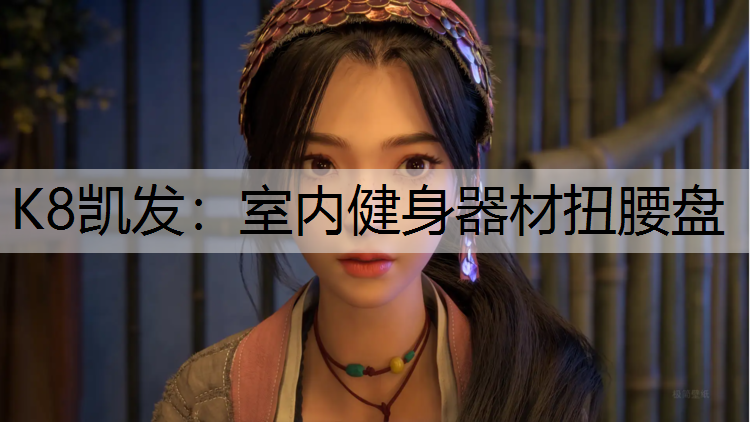 K8凯发：室内健身器材扭腰盘