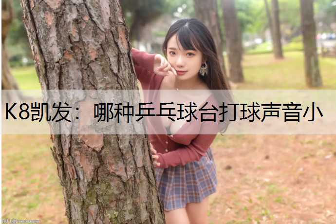 K8凯发：哪种乒乓球台打球声音小