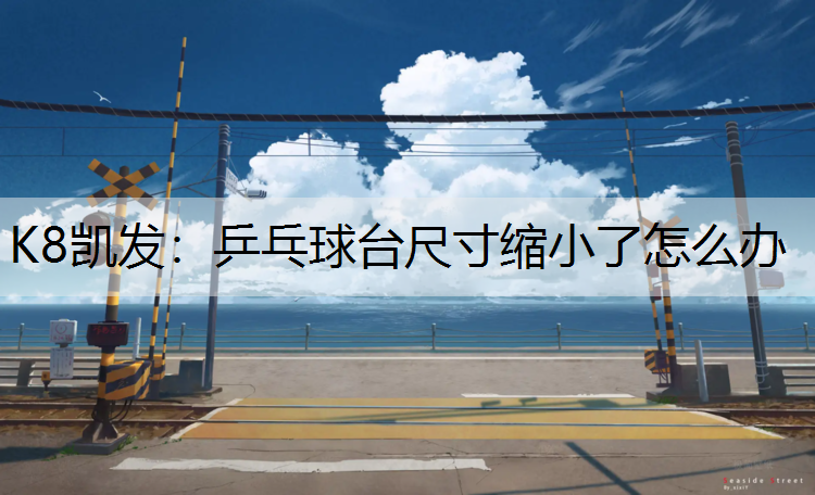 K8凯发：乒乓球台尺寸缩小了怎么办