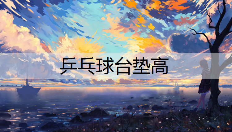 乒乓球台垫高