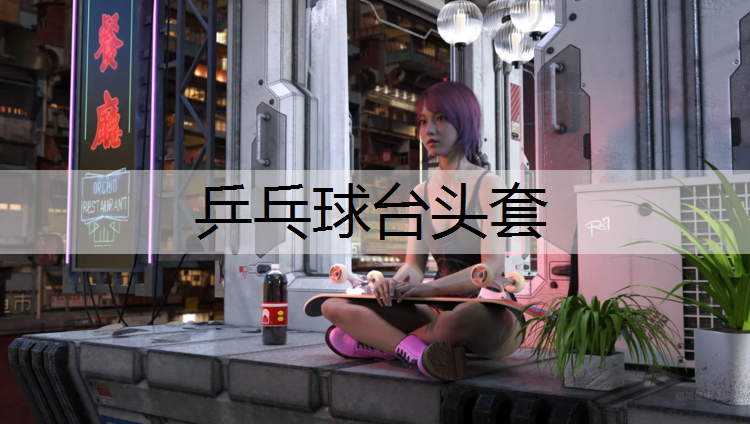 乒乓球台头套
