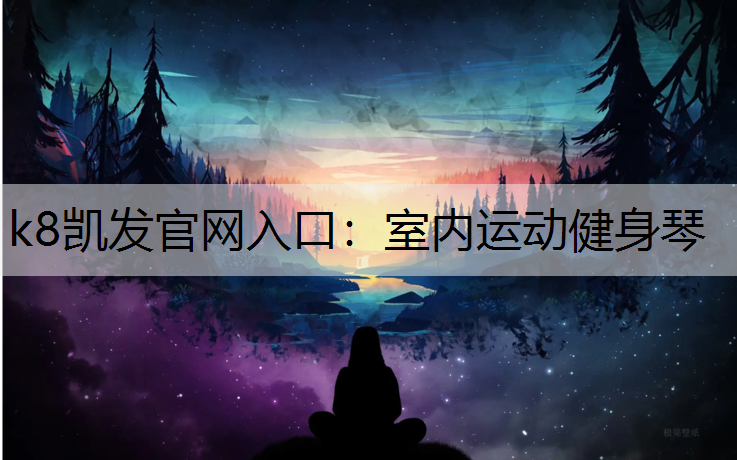 k8凯发官网入口：室内运动健身琴