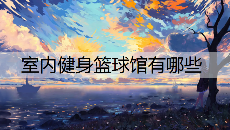 室内健身篮球馆有哪些
