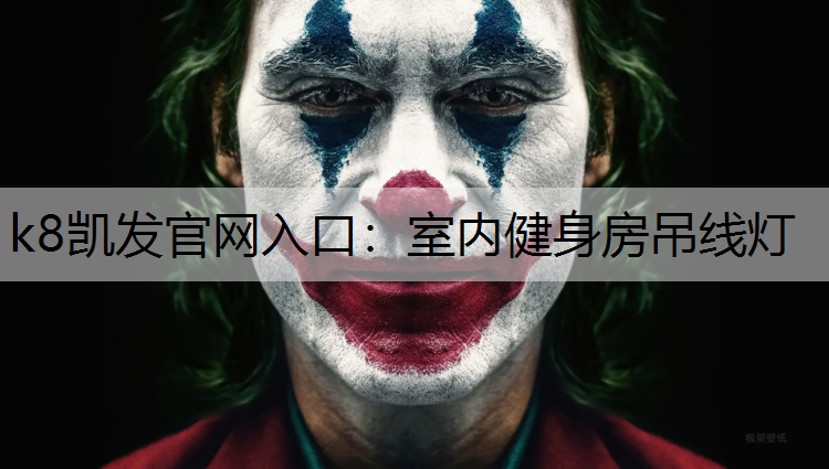 k8凯发官网入口：室内健身房吊线灯