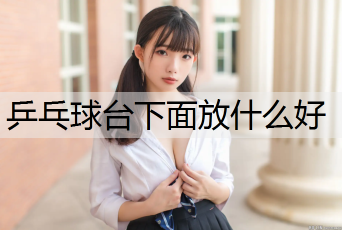 乒乓球台下面放什么好
