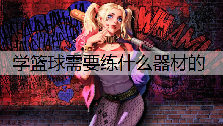 学篮球需要练什么器材的