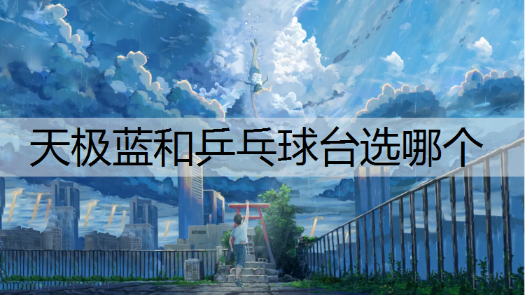天极蓝和乒乓球台选哪个