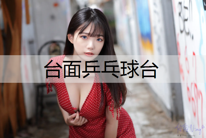 台面乒乓球台