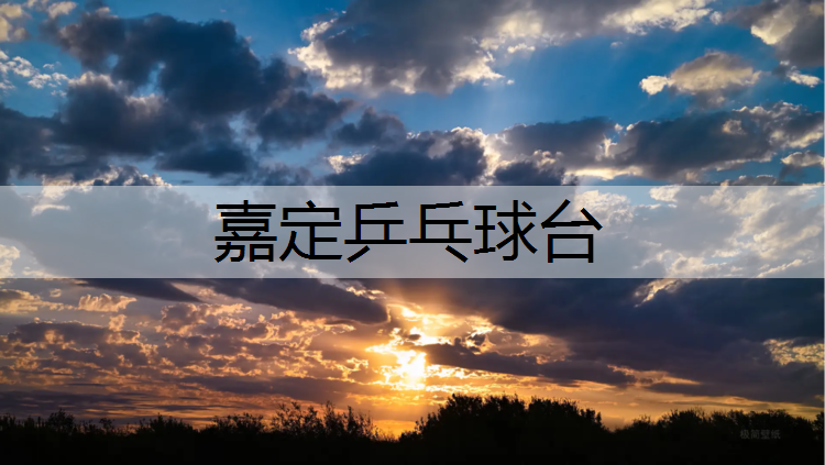 嘉定乒乓球台
