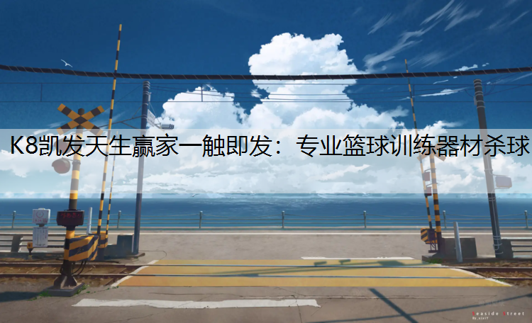 专业篮球训练器材杀球