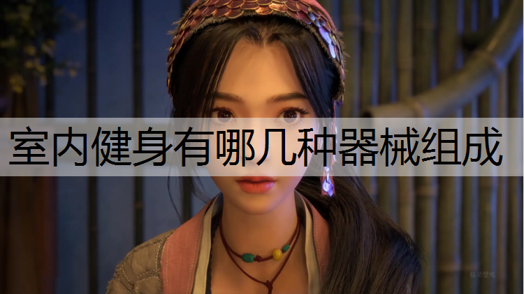 室内健身有哪几种器械组成