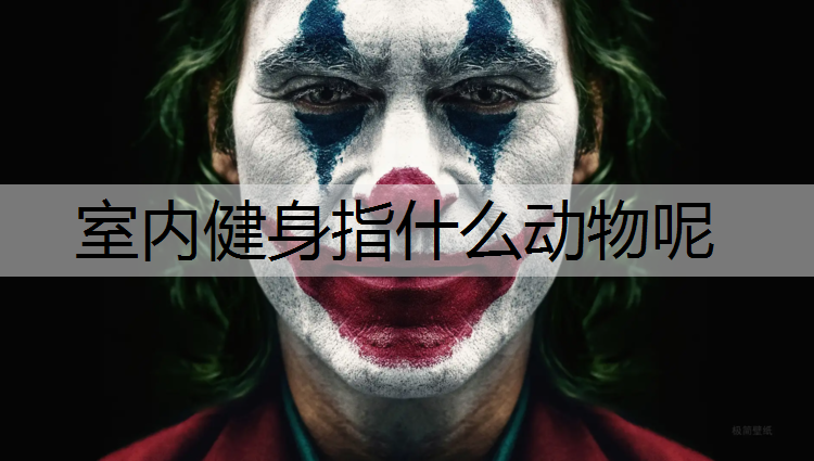 室内健身指什么动物呢