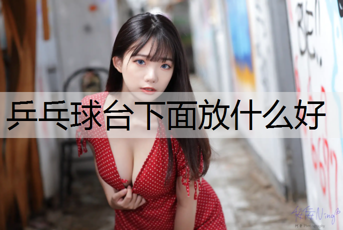 乒乓球台下面放什么好