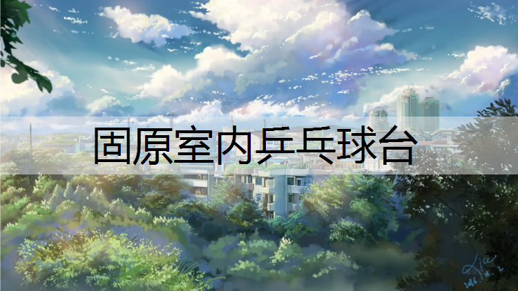 固原室内乒乓球台