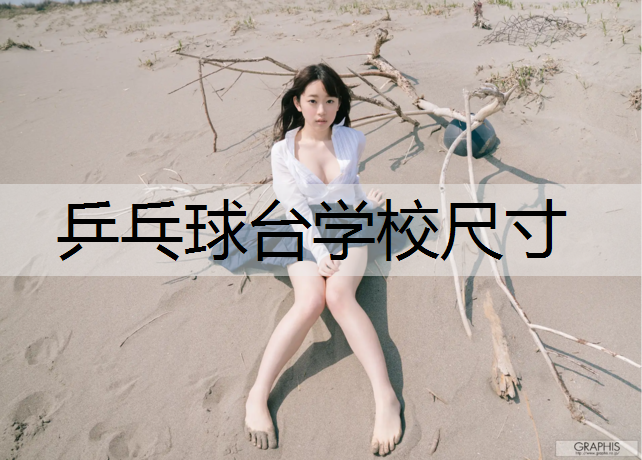 乒乓球台学校尺寸